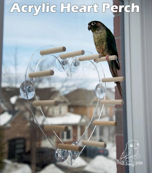 Heart Shaped Bird Window Perch: Acrylic & Wood Parrot Toy. Optional Ladder and Tray - Etsy Canada