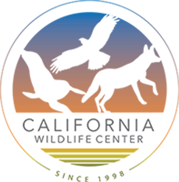 Donate to California Wildlife Center