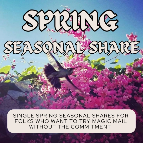 Spring Seasonal Share — WOLFBERRY APOTHECARY