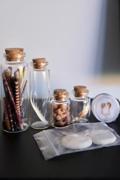 Seaside Curiosity Jar Bundle