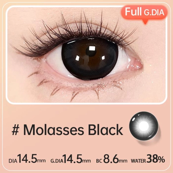 【Full G.DIA】Molasses Black | Half Yearly (2pcs)