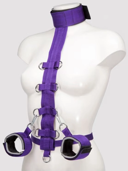 Purple Reins Beginners Restraint Harness
