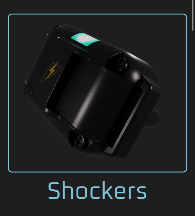 PiShock Store