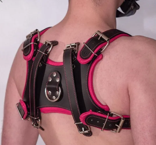 Leather chest harness