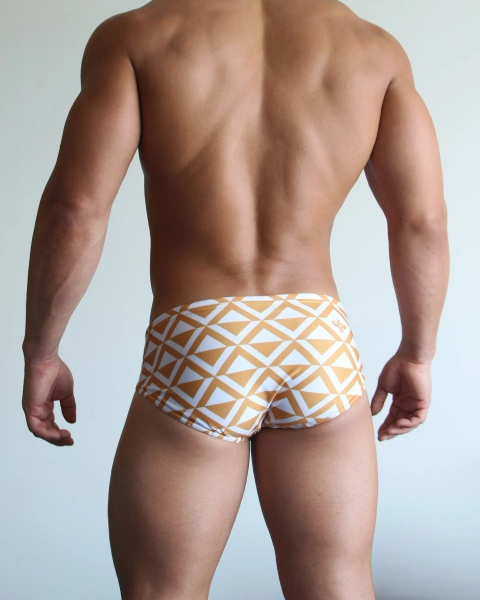 The Standard Dijon — ARONIK 