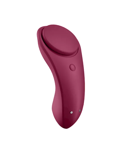 App compatible panty secret vibe