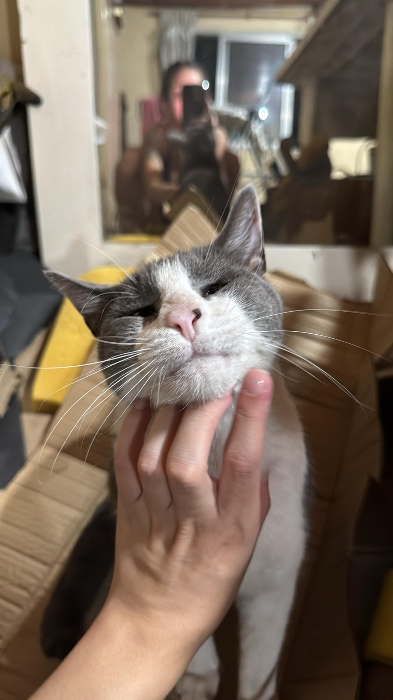 𝐓𝐫 𝐛 𝐮 𝐭𝐞