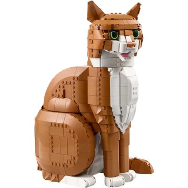 Orange Cat