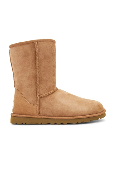 UGG Classic Short in Brown