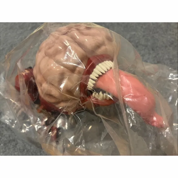 USJ Universal Studios Japan Resident Evil Licker Popcorn Bucket
