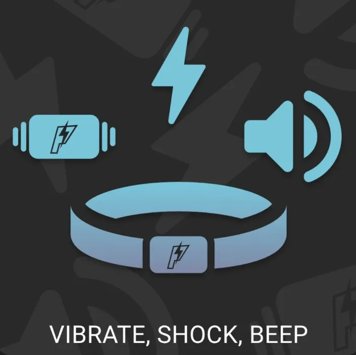 PiShock Collar