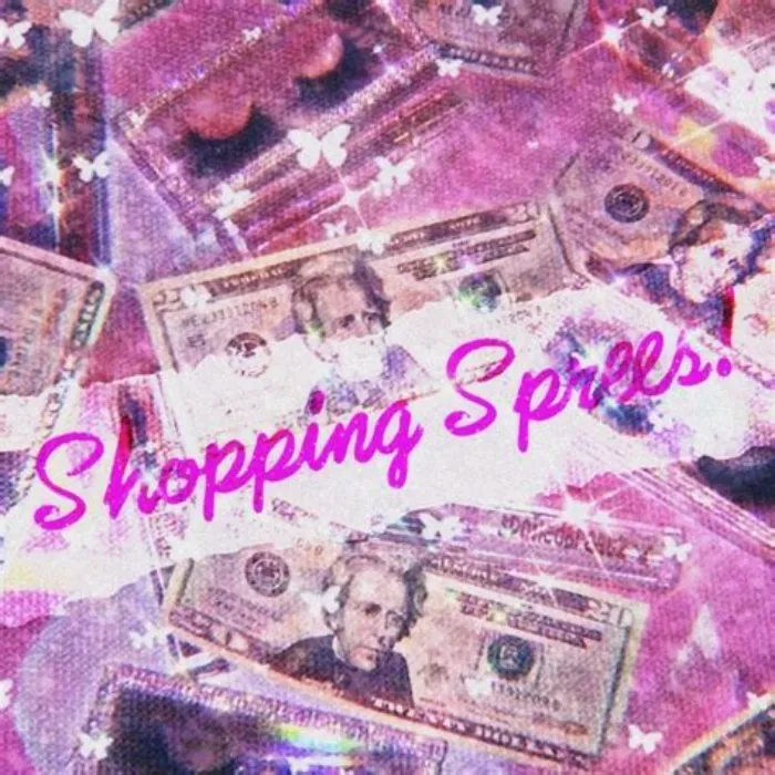 shopping spree 🛍️