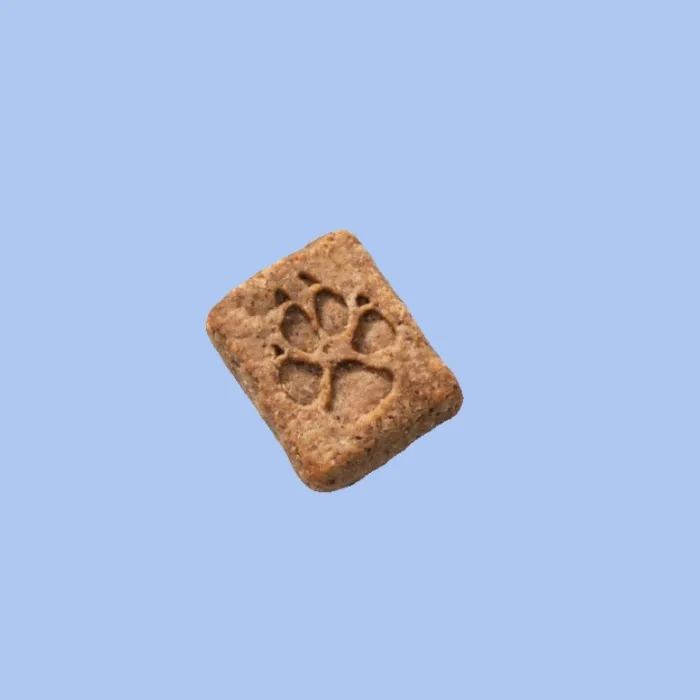 biscuit