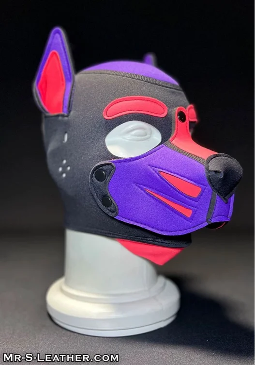 Custom Neoprene Pup Hood