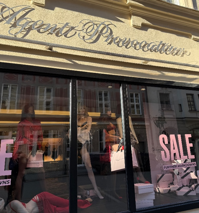 AP lingerie shopping 🛍️👸🏼✨