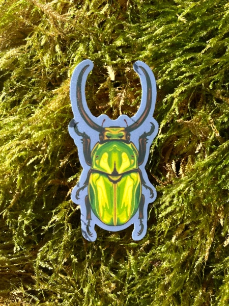 Horned Scarab Beetle | Waterproof Vinyl Sticker - Etsy