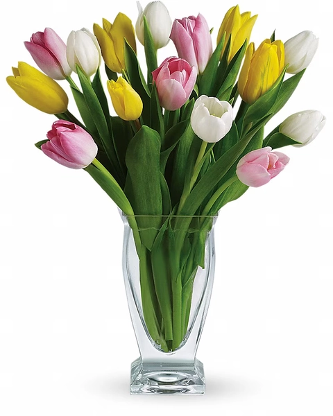 Dutch Tulip by House of Flowers
