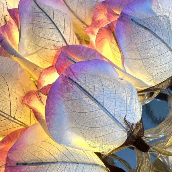 Chelsea Rose Fairy Lights