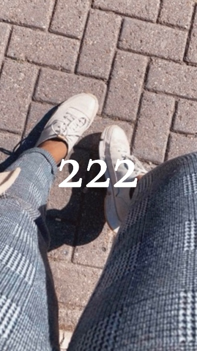 ✨222✨