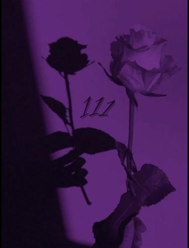 111 roses