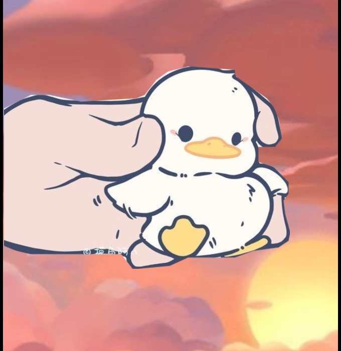 999 ducks