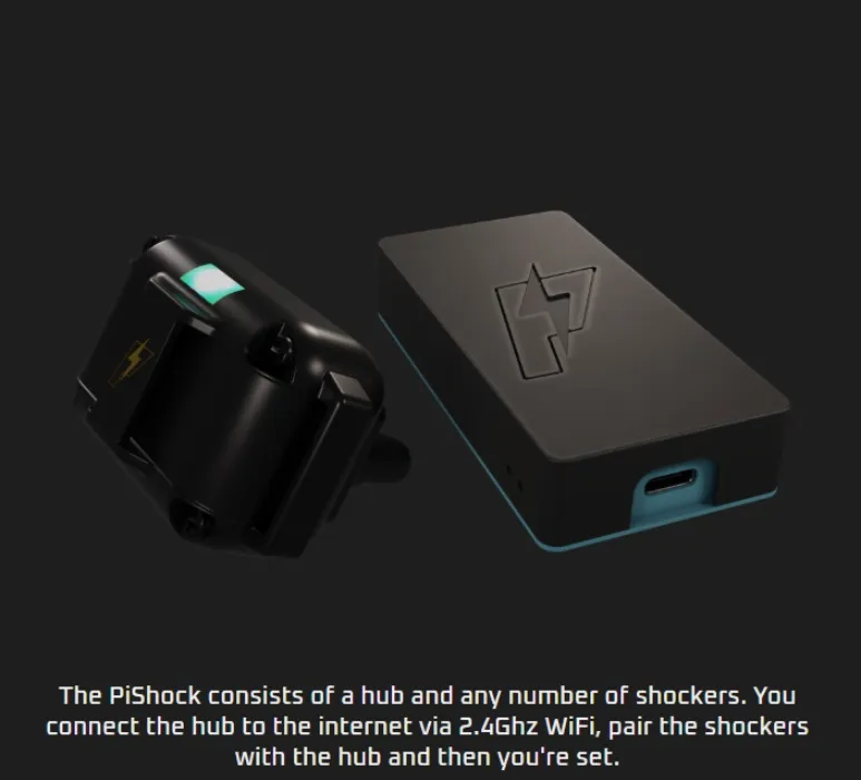 PiShock