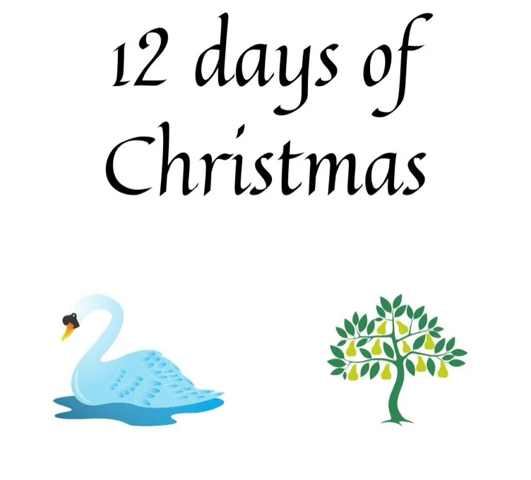 Day 1 of 12 days of Christmas 