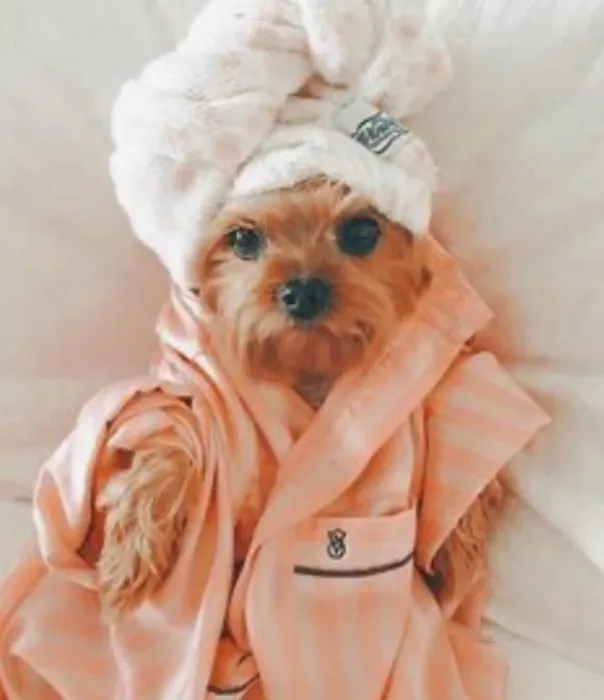 Spa Day 💥