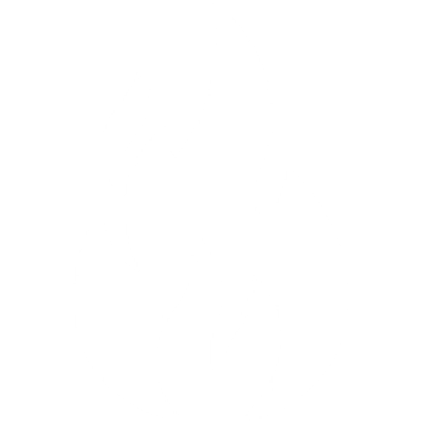 Shananigans Fire Spinning Swords 2.0 – Shananigans