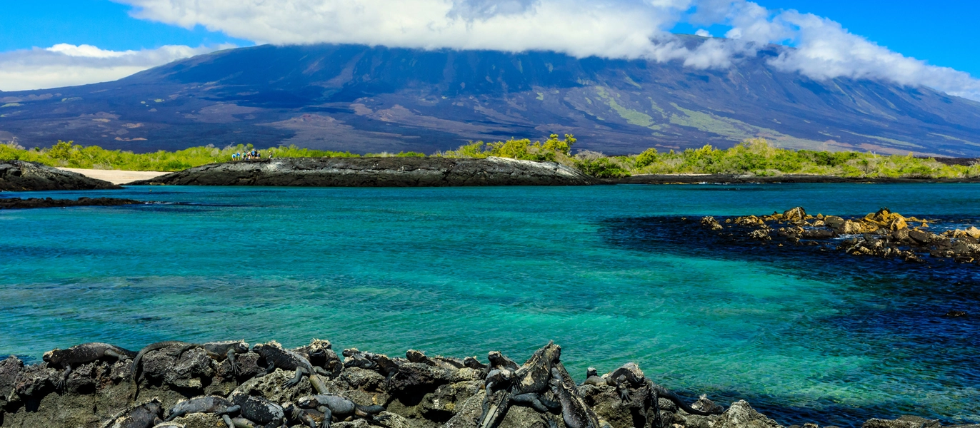 Exploring Galápagos