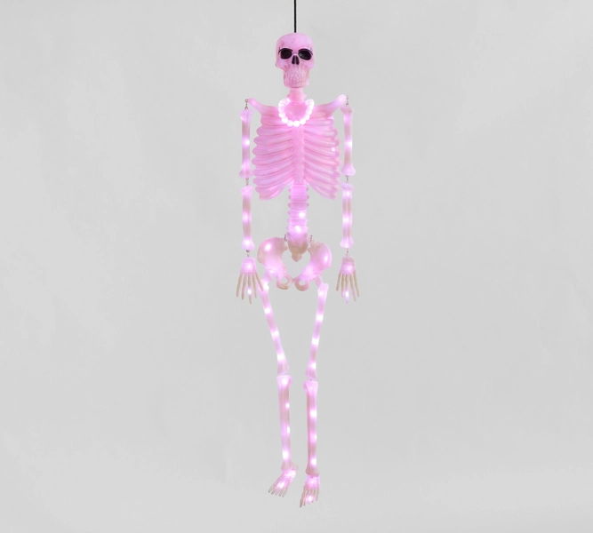 Lit Mr. Bones
