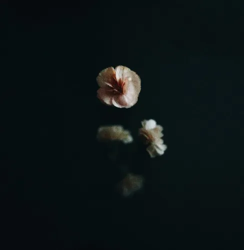 Yearning.