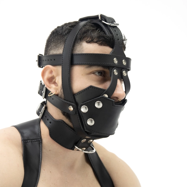 RoB Leather Head Harness