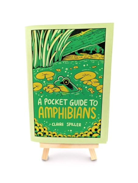 A  Pocket Guide to Amphibians — Art of Claire Spiller - Wildlife Illustration