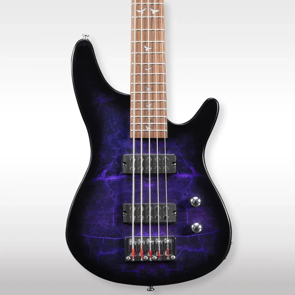 5-String Bass & Hard Case