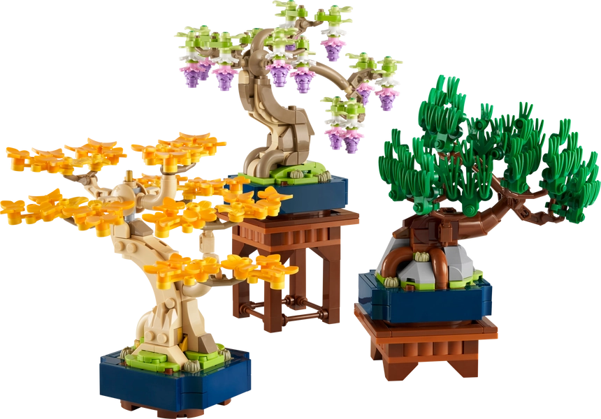 Mini Bonsai Trees