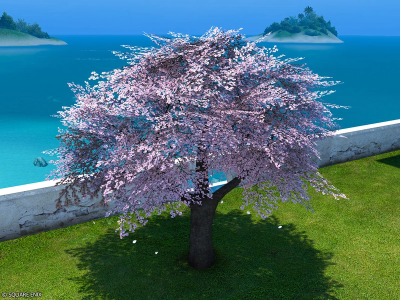 Authentic Eastern Cherry Tree | FINAL FANTASY XIV Online Store