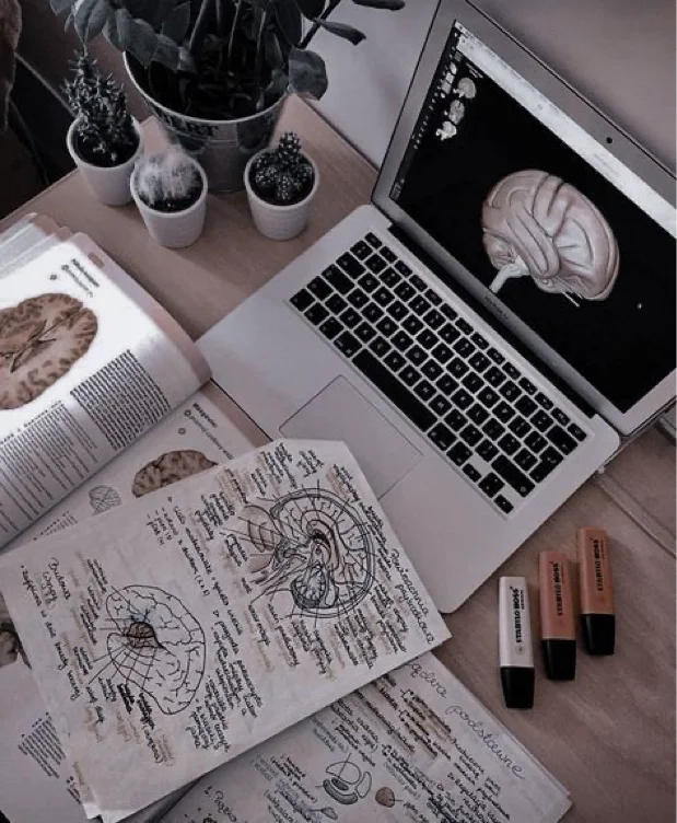 Tuition 💗