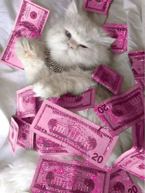Spoil My Kitties 🐈
