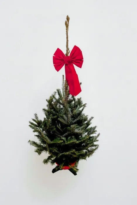 Mini Christmas tree 🎄