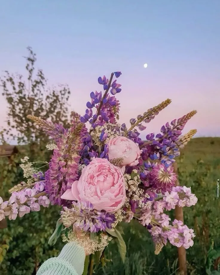 flowers ❀