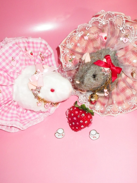 "Build-A-Rat" STRAWBERRY PRINCESS Kit — Objects. People. Crave.