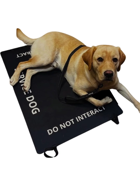 Service Dog Travel Mat – Working Dog Settle Training Pad (do Not Interact) - Etsy