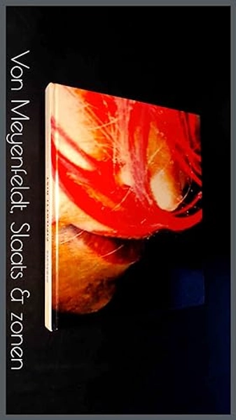 Himalaya by Pipilotti Rist