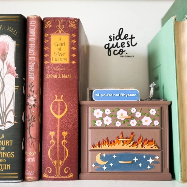 ACOTAR Bookmark Container: Book Lover Gift - Etsy