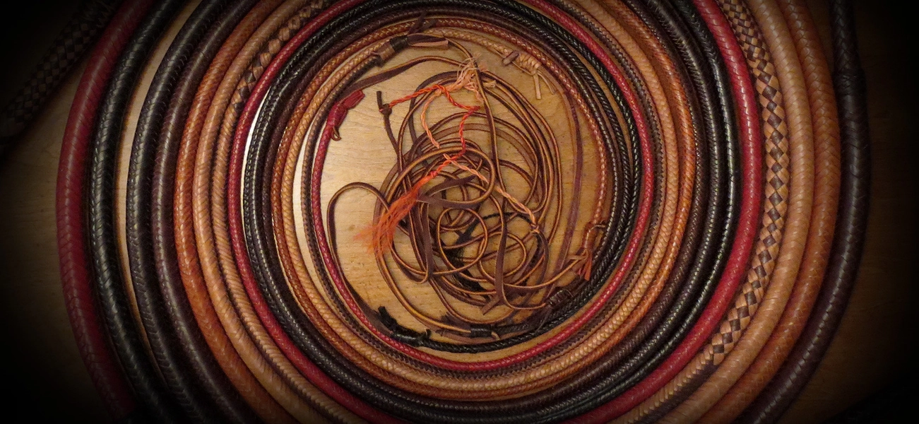 Trinity Whip mini whips pair