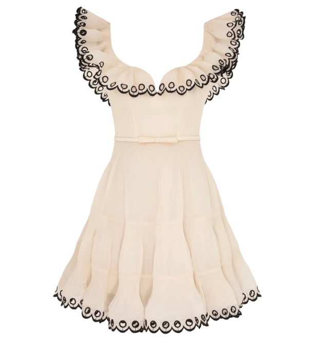 Embroidered Frilled Mini Dress