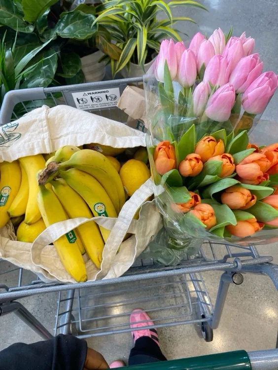 Groceries 