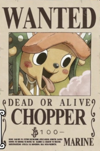 ✨ Chopper ✨
