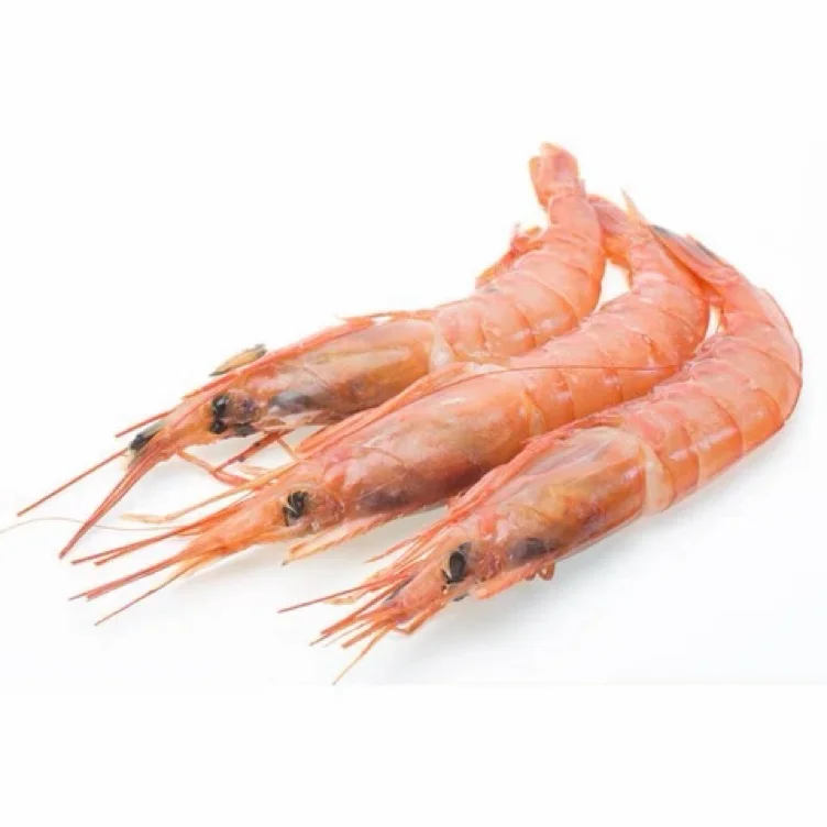 Shrimp 🦐 